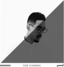 The Iceberg - Vinyl