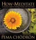 How to Meditate With Pema Chodron - CD