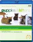 Puppies and Kittens - Blu-ray