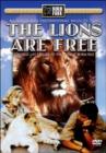 The Lions Are Free - DVD