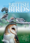 Ultimate Guide to British Birds - DVD