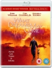 What Dreams May Come - Blu-ray