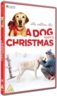 A   Dog Named Christmas - DVD
