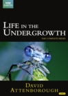 David Attenborough: Life in the Undergrowth - The Complete Seires - DVD
