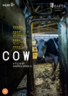 Cow - DVD