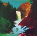The Waterfall - Vinyl