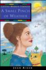 A Small Pinch of Weather - Book