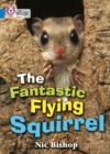 The Fantastic Flying Squirrel : Band 04/Blue - Book