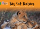 Big Cat Babies : Band 05/Green - Book
