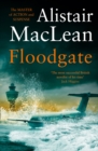 Floodgate - eBook