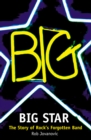 Big Star : The Story of Rock's Forgotten Band - eBook
