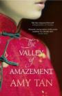 The Valley of Amazement - Book