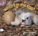 What’s in the Egg? : Band 00/Lilac - Book