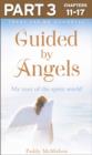 Guided By Angels: Part 3 of 3 : There Are No Goodbyes, My Tour of the Spirit World - eBook