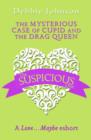 The Mysterious Case of Cupid and the Drag Queen : A Love…Maybe Valentine Eshort - eBook