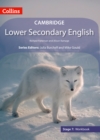 Lower Secondary English Workbook: Stage 7 - Book