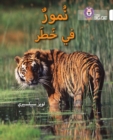 Tigers in Danger : Level 10 - Book
