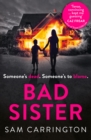 Bad Sister - Book