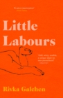Little Labours - Book
