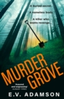 Murder Grove - eBook