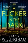 A Flicker in the Dark - Book