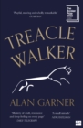 Treacle Walker - Book