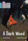 A Dark Wood : Phase 3 Set 1 Blending Practice - Book