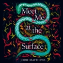 Meet Me at the Surface - eAudiobook