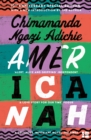 Americanah - Book
