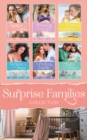 The Surprise Families Collection - eBook