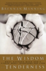Wisdom Of Tenderness - Book