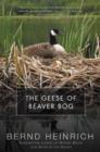 The Geese of Beaver Bog - eBook