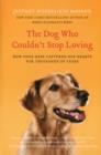 The Dog Who Couldn't Stop Loving : How Dogs Have Captured Our Hearts for Thousands of Years - Book