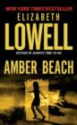 Amber Beach - eBook