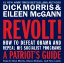 Revolt! : How to Defeat Obama and Repeal His Socialist Programs - eAudiobook