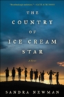 The Country of Ice Cream Star - eBook