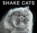 Shake Cats - Book