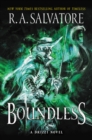 Boundless : A Drizzt Novel - Book