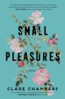 Small Pleasures : A Novel - eBook