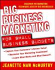 Big Business Marketing For Small Business Budgets - eBook