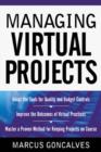Managing Virtual Projects - eBook