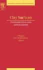Clay Surfaces : Fundamentals and Applications - eBook