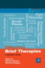 Effective Brief Therapies : A Clinician's Guide - eBook