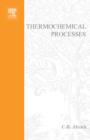Thermochemical Processes : Principles and Models - eBook