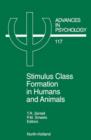Stimulus Class Formation in Humans and Animals - eBook