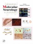 Molecular Neurology - eBook