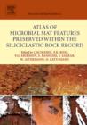 Atlas of Microbial Mat Features Preserved within the Siliciclastic Rock Record - eBook