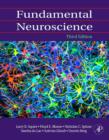 Fundamental Neuroscience - eBook
