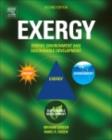 EXERGY : Energy, Environment and Sustainable Development - eBook