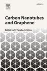 Carbon Nanotubes and Graphene - eBook